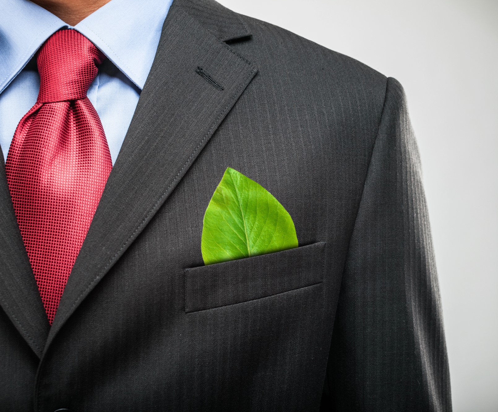 How CIOs and CTOs are Driving Sustainability in Tech